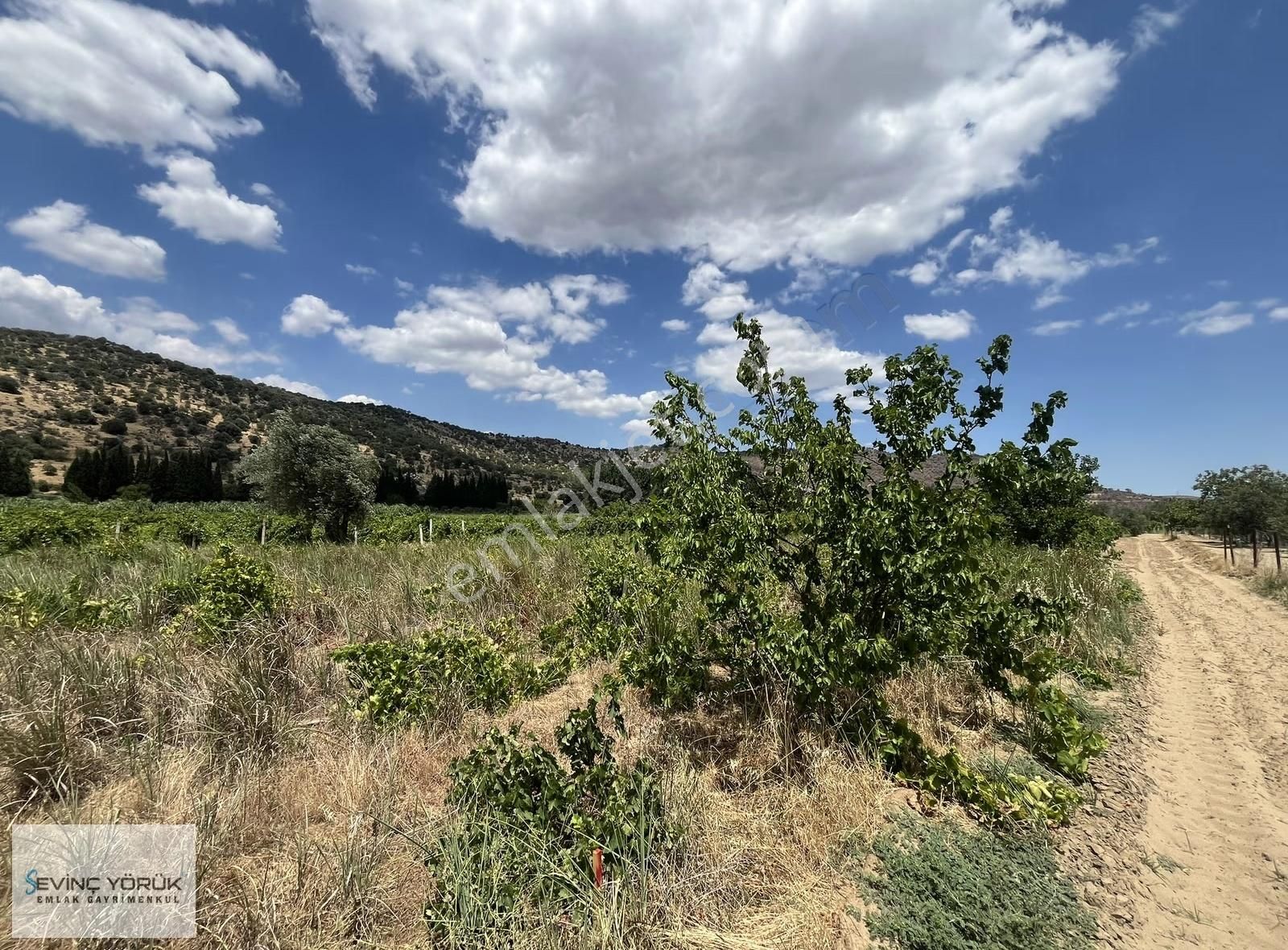 Menemen Bağcılar'da Manisa Asfaltına 100 Metre Uzaklıkta Tarla - Görsel 17