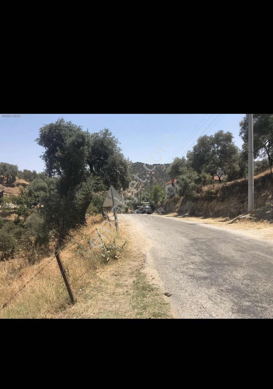 703 Mt, Arsa Konut İmarlı. Anayola Sıfır.elkt,su... - Görsel 6