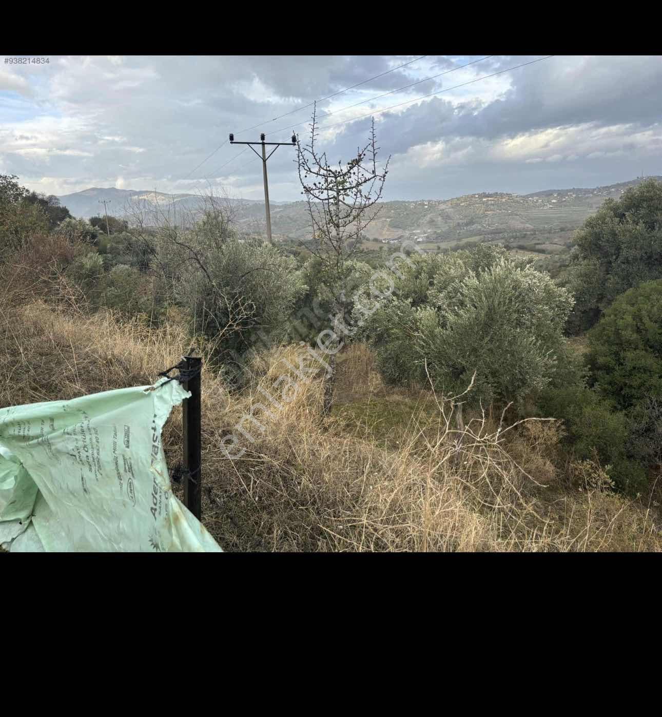 703 Mt, Arsa Konut İmarlı. Anayola Sıfır.elkt,su... - Görsel 15
