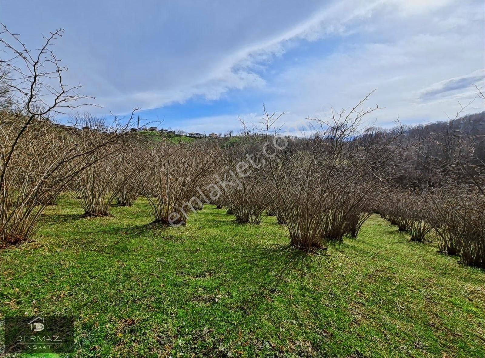 Kuzulukun Dibinde,yatırımın Zirvesinde 4.896 M²fırsat Fındıklık - Görsel 15