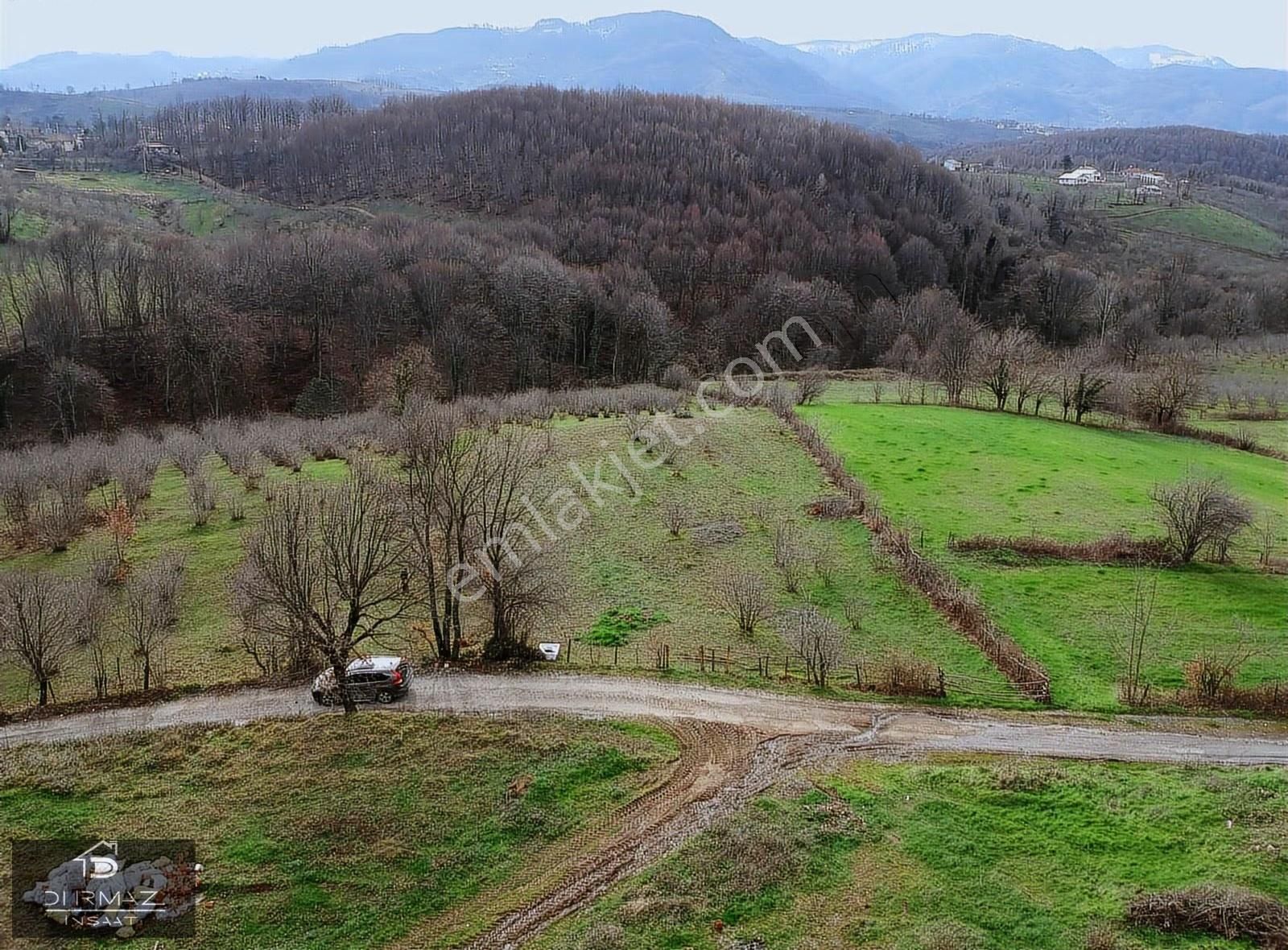 Kuzulukun Dibinde,yatırımın Zirvesinde 4.896 M²fırsat Fındıklık