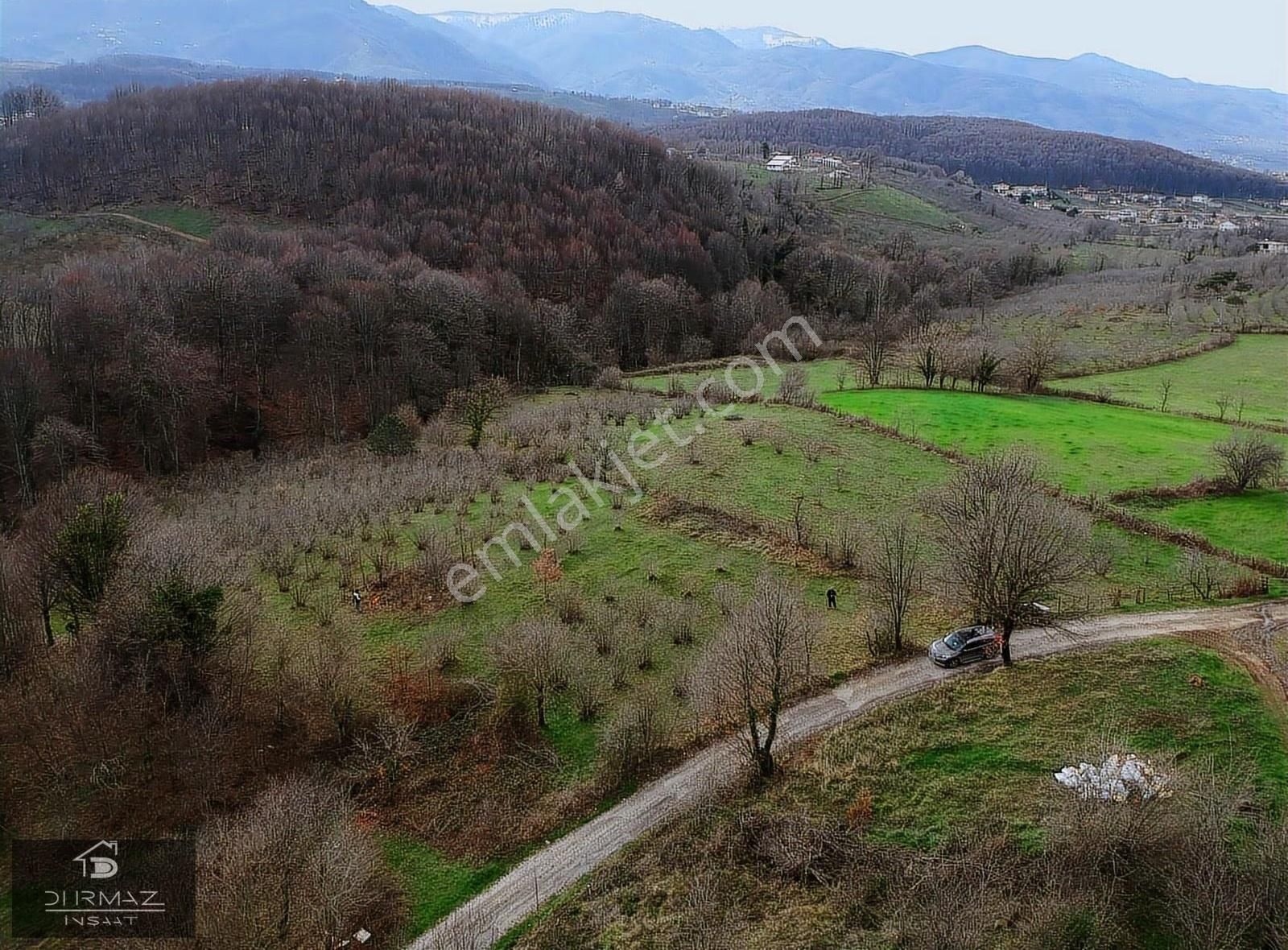 Kuzulukun Dibinde,yatırımın Zirvesinde 4.896 M²fırsat Fındıklık - Görsel 12