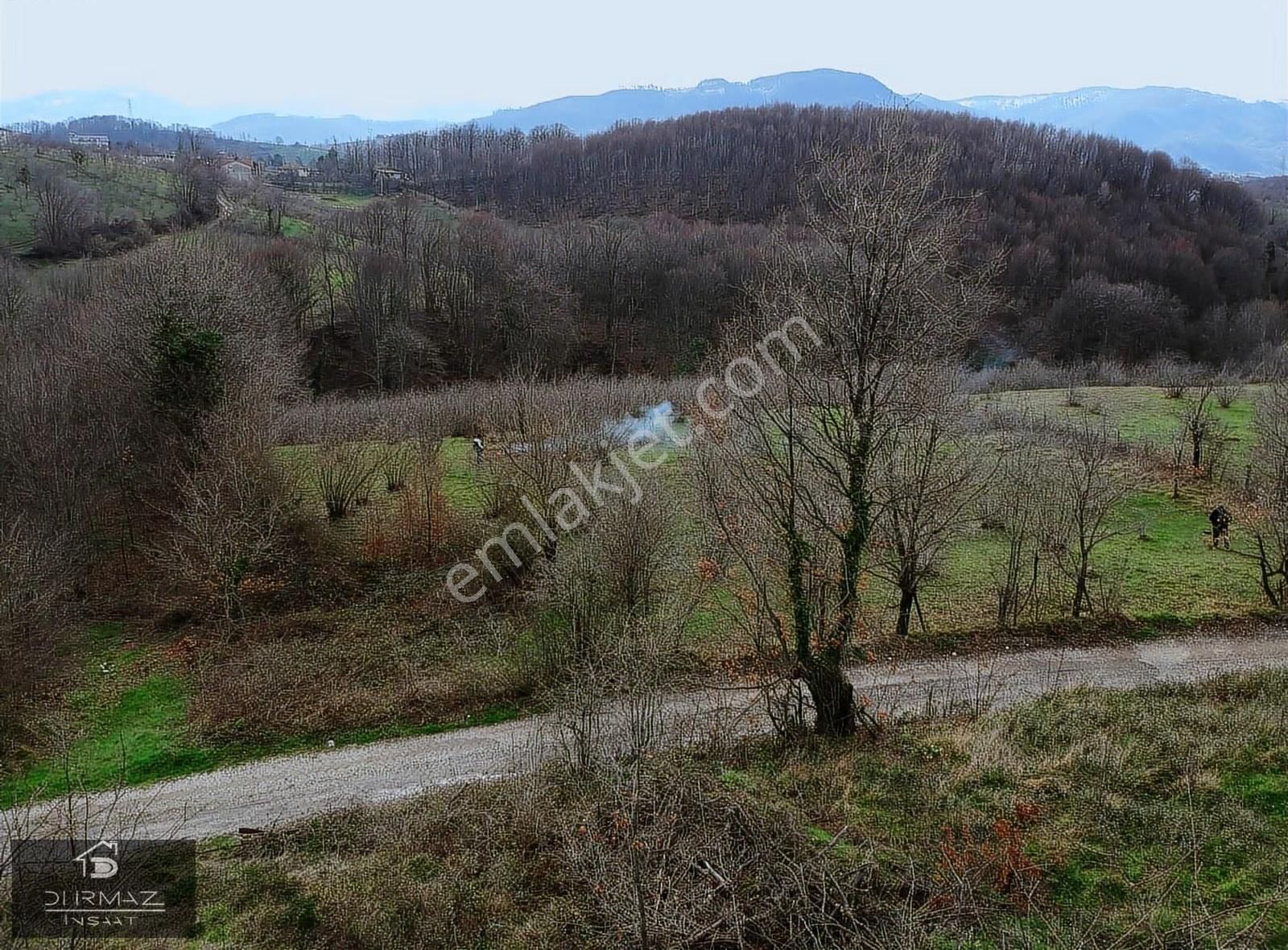 Kuzulukun Dibinde,yatırımın Zirvesinde 4.896 M²fırsat Fındıklık - Görsel 22