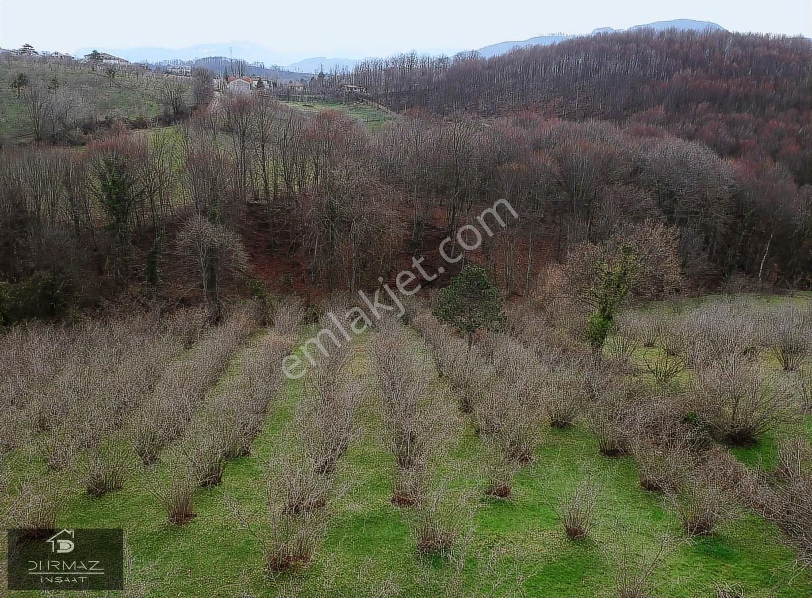 Kuzulukun Dibinde,yatırımın Zirvesinde 4.896 M²fırsat Fındıklık - Görsel 7