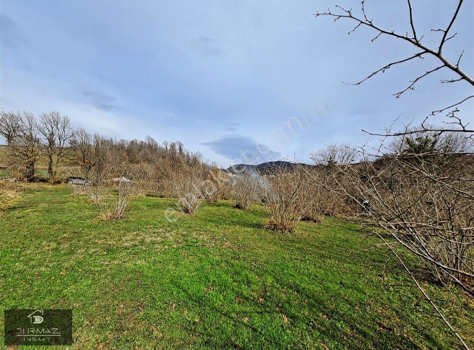 Kuzulukun Dibinde,yatırımın Zirvesinde 4.896 M²fırsat Fındıklık - Görsel 19