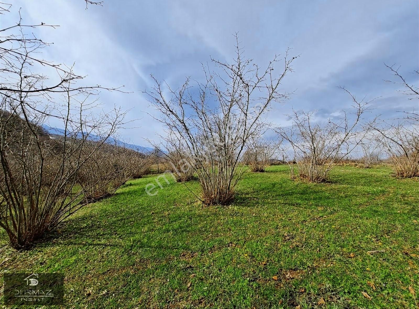 Kuzulukun Dibinde,yatırımın Zirvesinde 4.896 M²fırsat Fındıklık - Görsel 13