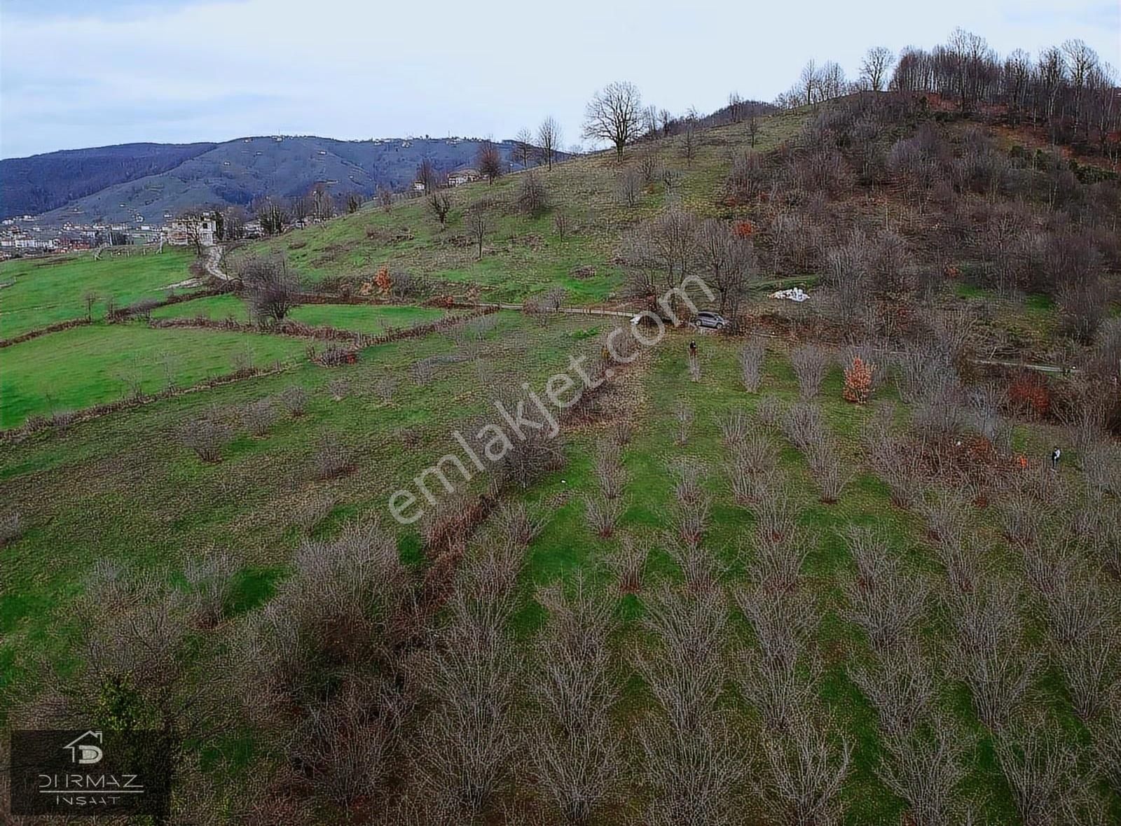 Kuzulukun Dibinde,yatırımın Zirvesinde 4.896 M²fırsat Fındıklık - Görsel 3