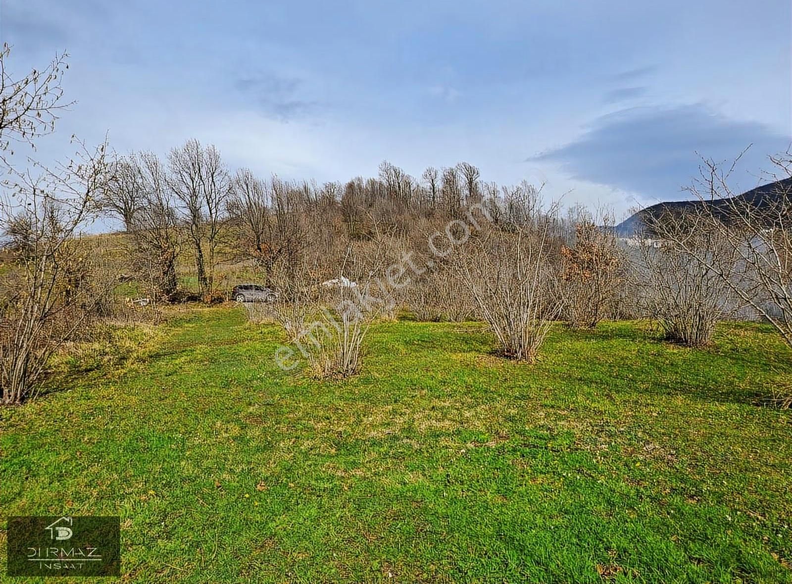 Kuzulukun Dibinde,yatırımın Zirvesinde 4.896 M²fırsat Fındıklık - Görsel 17