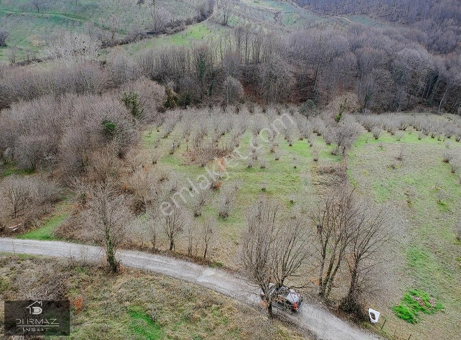 Kuzulukun Dibinde,yatırımın Zirvesinde 4.896 M²fırsat Fındıklık - Görsel 8