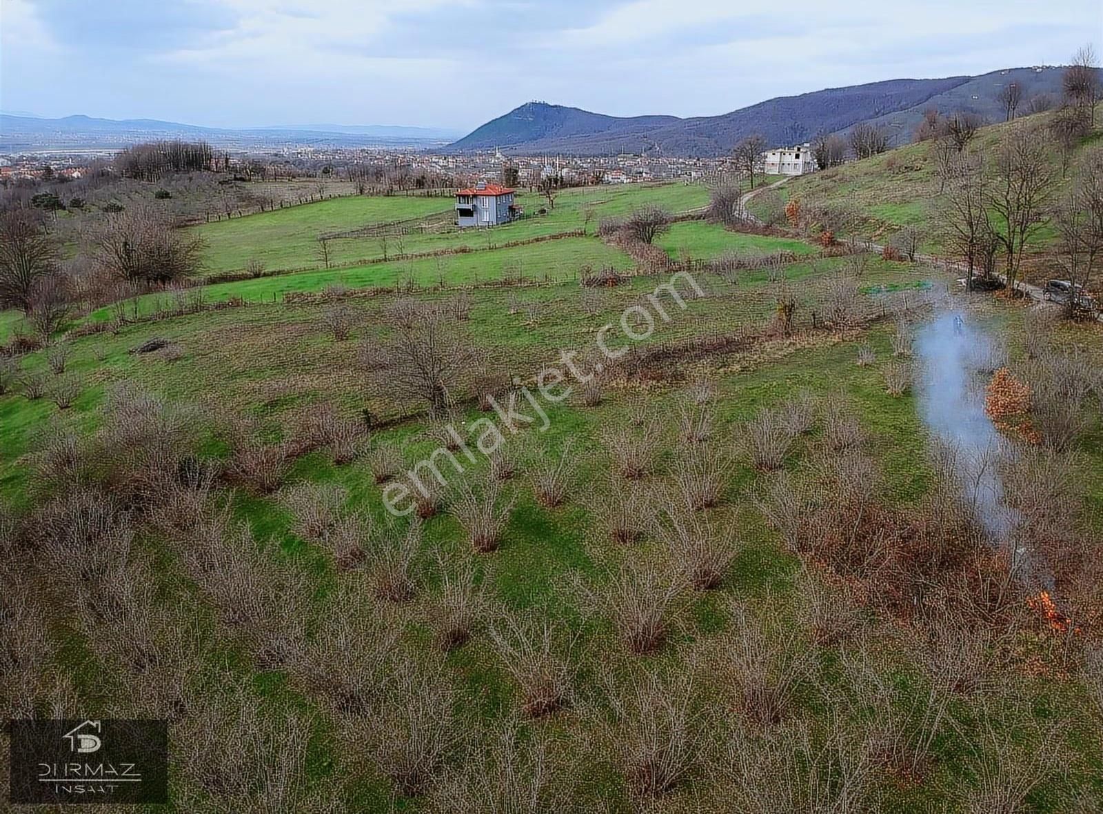 Kuzulukun Dibinde,yatırımın Zirvesinde 4.896 M²fırsat Fındıklık - Görsel 5