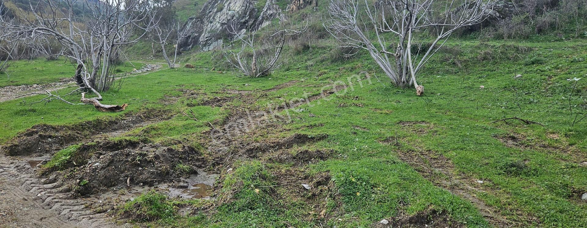 Satılık Tarla 86 Dönüm 150.000.000 Tl Söke - Görsel 5
