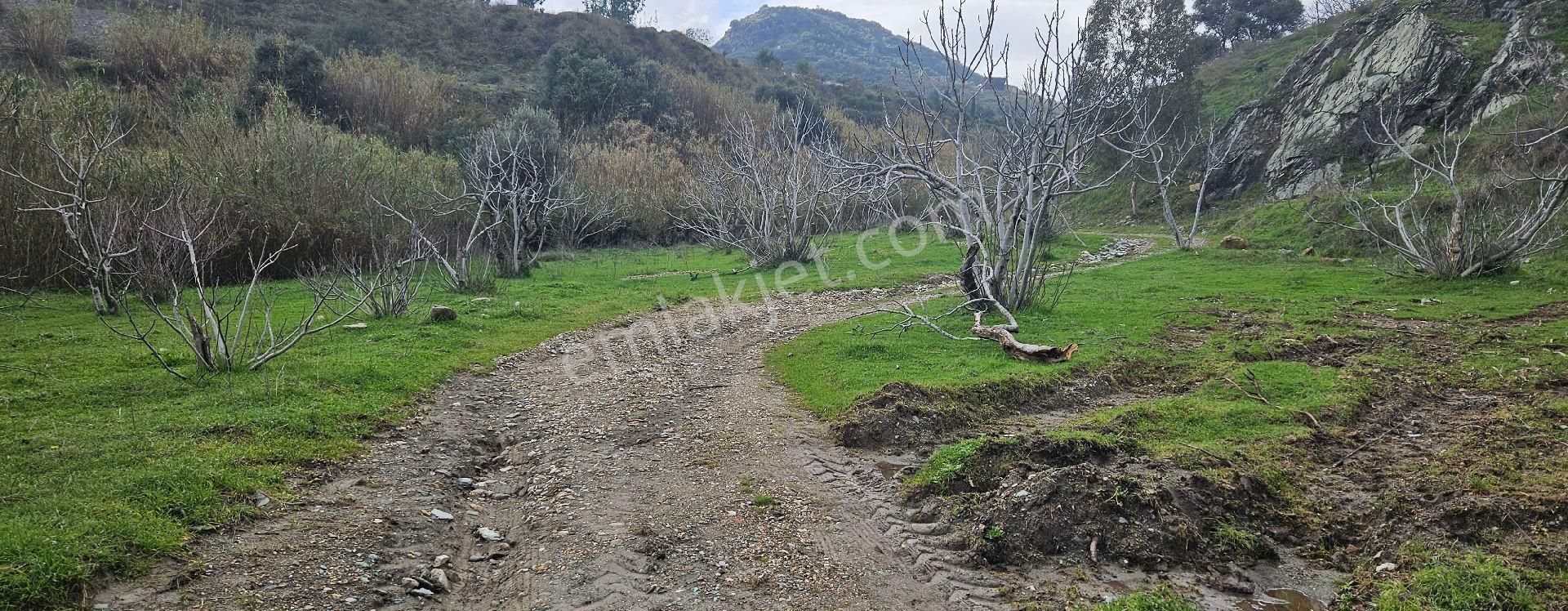 Satılık Tarla 86 Dönüm 150.000.000 Tl Söke - Görsel 7
