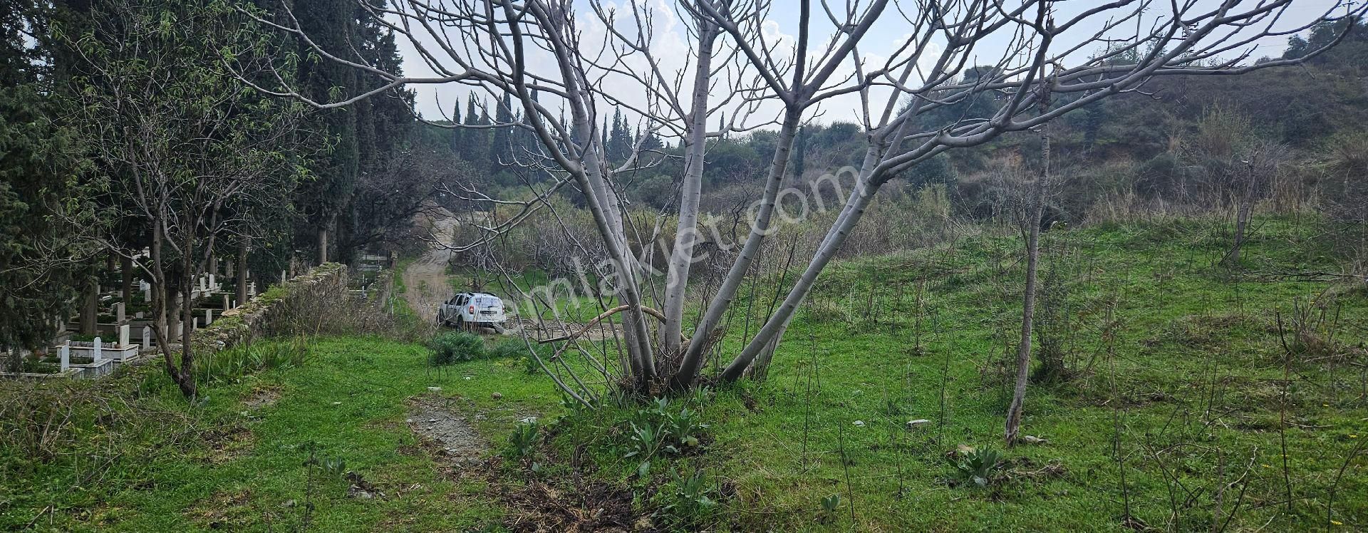 Satılık Tarla 86 Dönüm 150.000.000 Tl Söke - Görsel 22