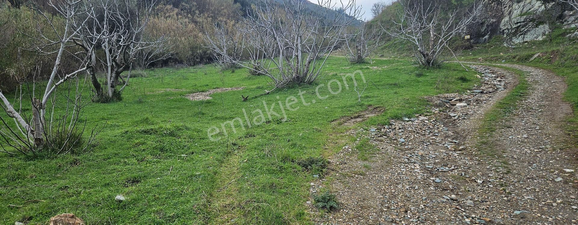 Satılık Tarla 86 Dönüm 150.000.000 Tl Söke - Görsel 2