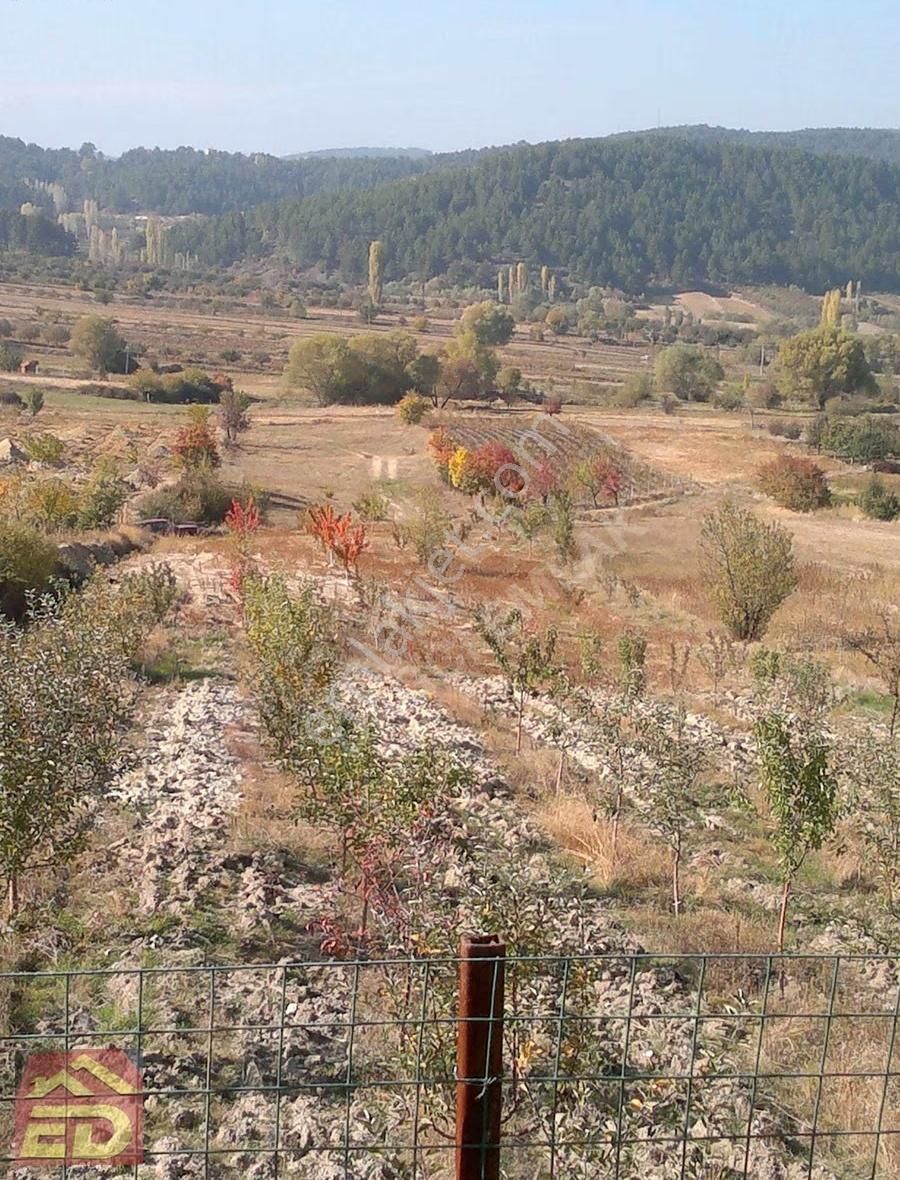 Dağcı Emlak Buldan Yaylada Doğayla İç İçe Yazlık Yapımına Uygun