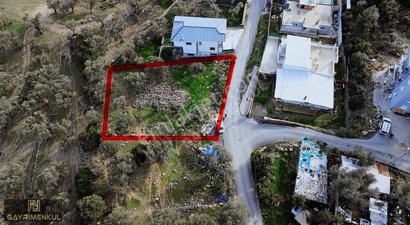 Eğridere Mahallesinin Girişinde Kadastral Yola Cepheli Parseller