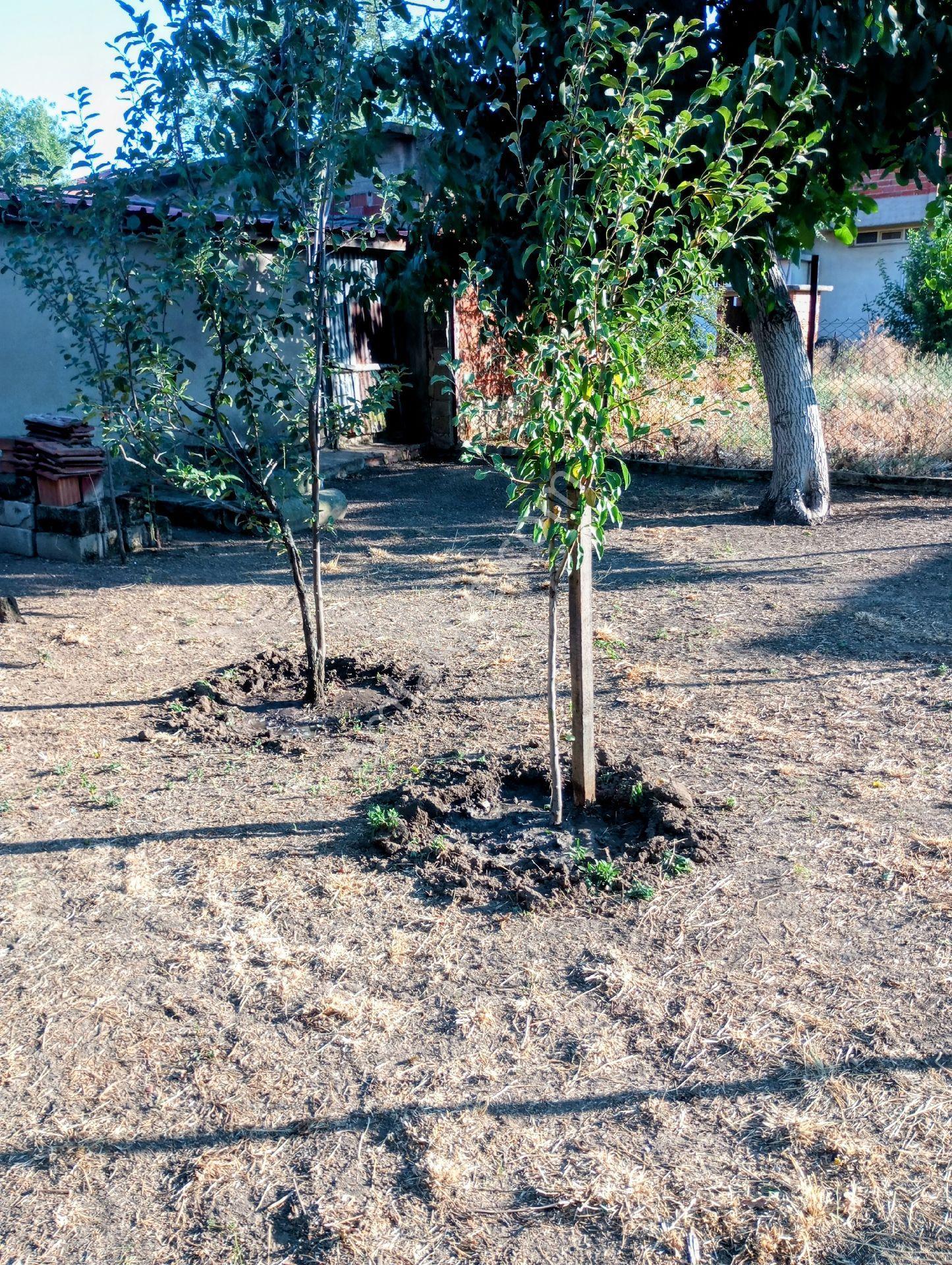 Trakya Da Kırklareli Babaeski Satılık Mülk - Görsel 16