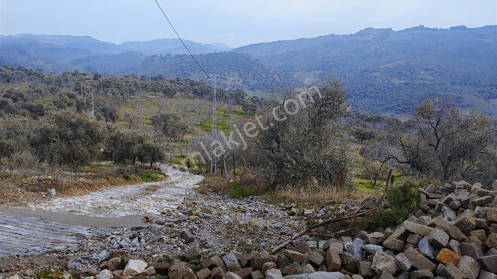 Aydın Germencik Dağyeni' Satılık 24.702 M2 İncir Bahçesi - Görsel 13