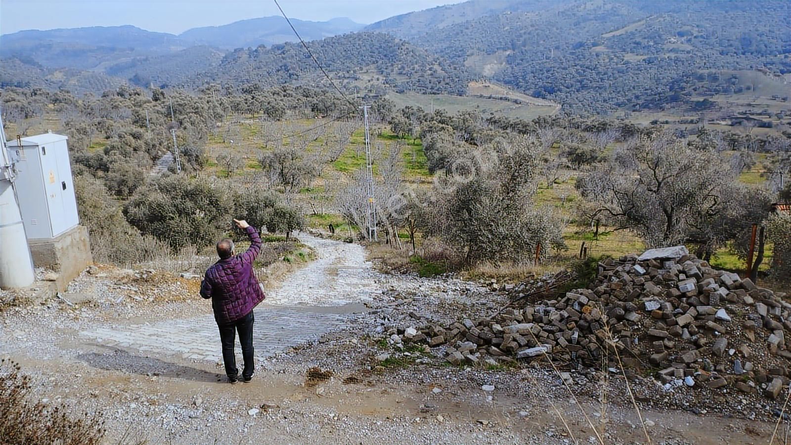 Aydın Germencik Dağyeni' Satılık 24.702 M2 İncir Bahçesi - Görsel 33