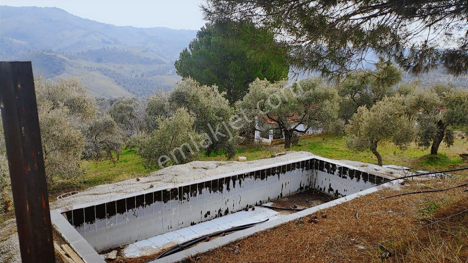 Aydın Germencik Dağyeni' Satılık 24.702 M2 İncir Bahçesi - Görsel 14