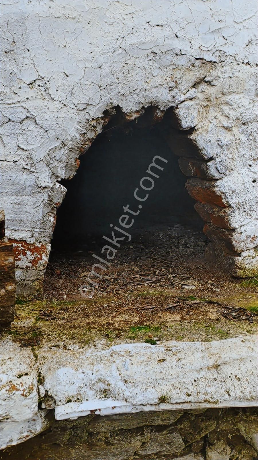 Aydın Germencik Dağyeni' Satılık 24.702 M2 İncir Bahçesi - Görsel 20