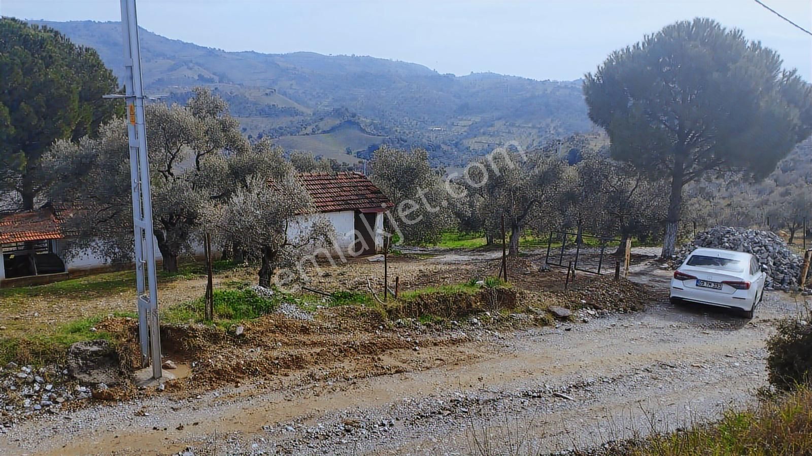 Aydın Germencik Dağyeni' Satılık 24.702 M2 İncir Bahçesi - Görsel 31