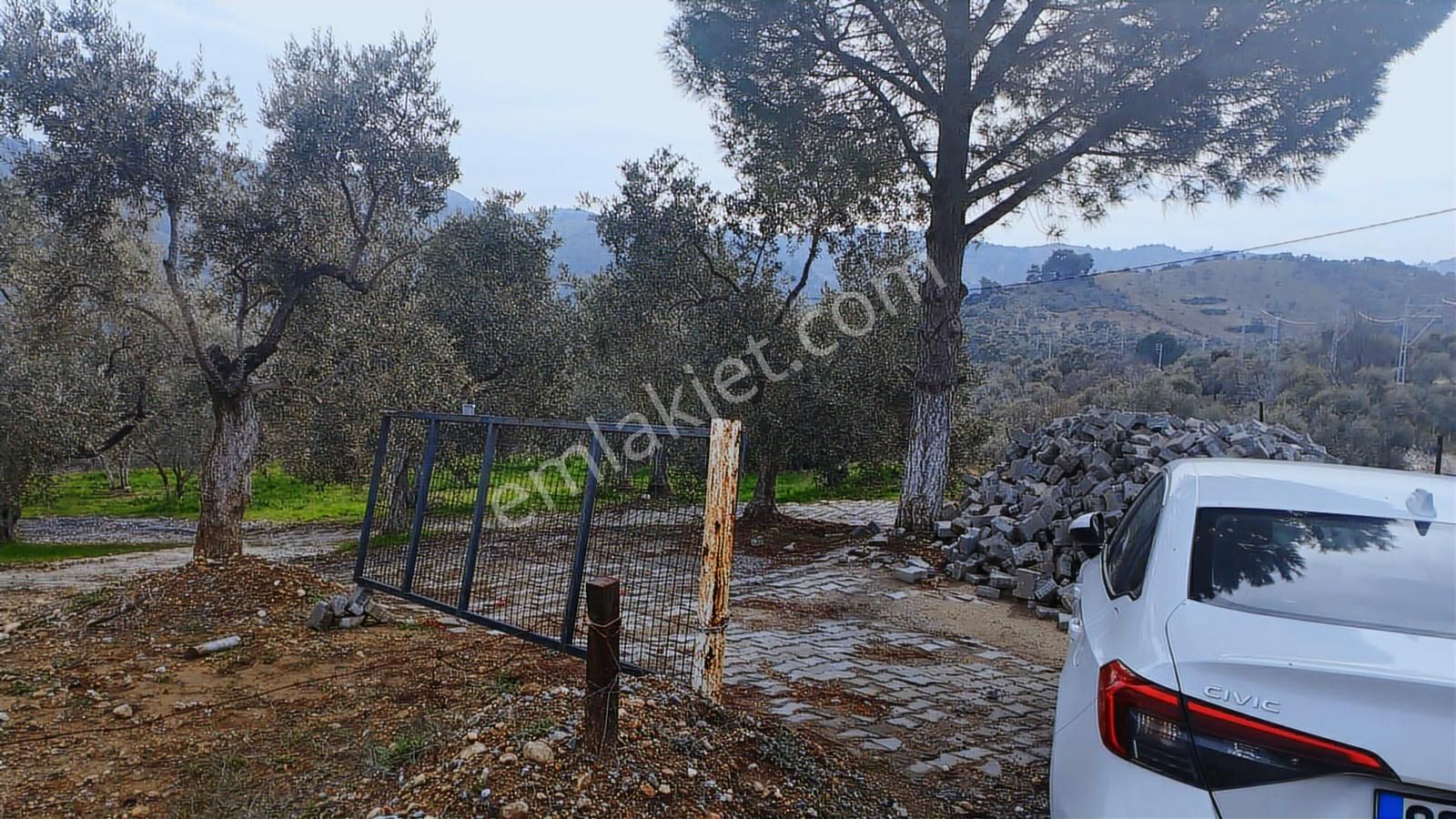 Aydın Germencik Dağyeni' Satılık 24.702 M2 İncir Bahçesi - Görsel 10