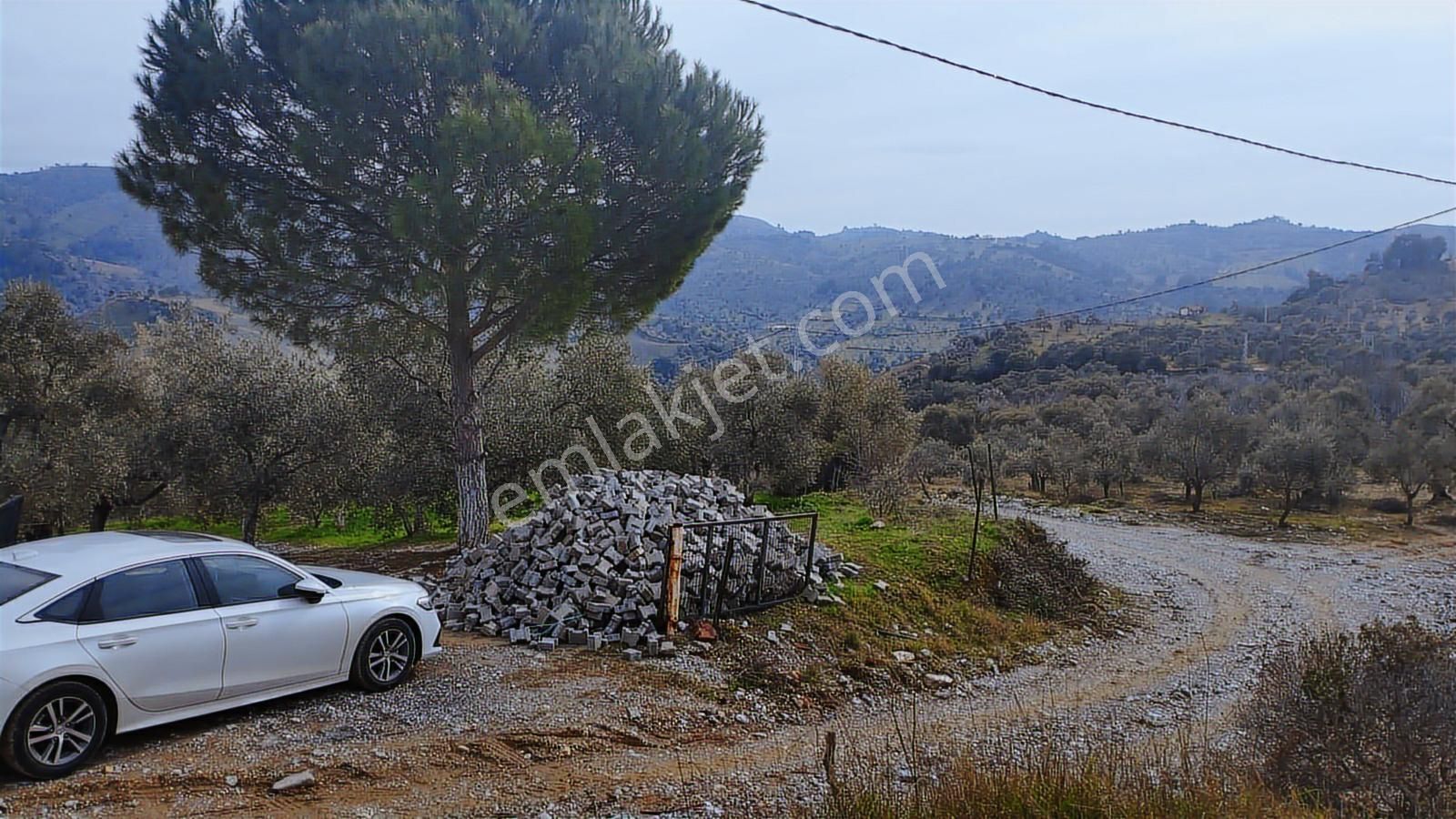 Aydın Germencik Dağyeni' Satılık 24.702 M2 İncir Bahçesi - Görsel 28