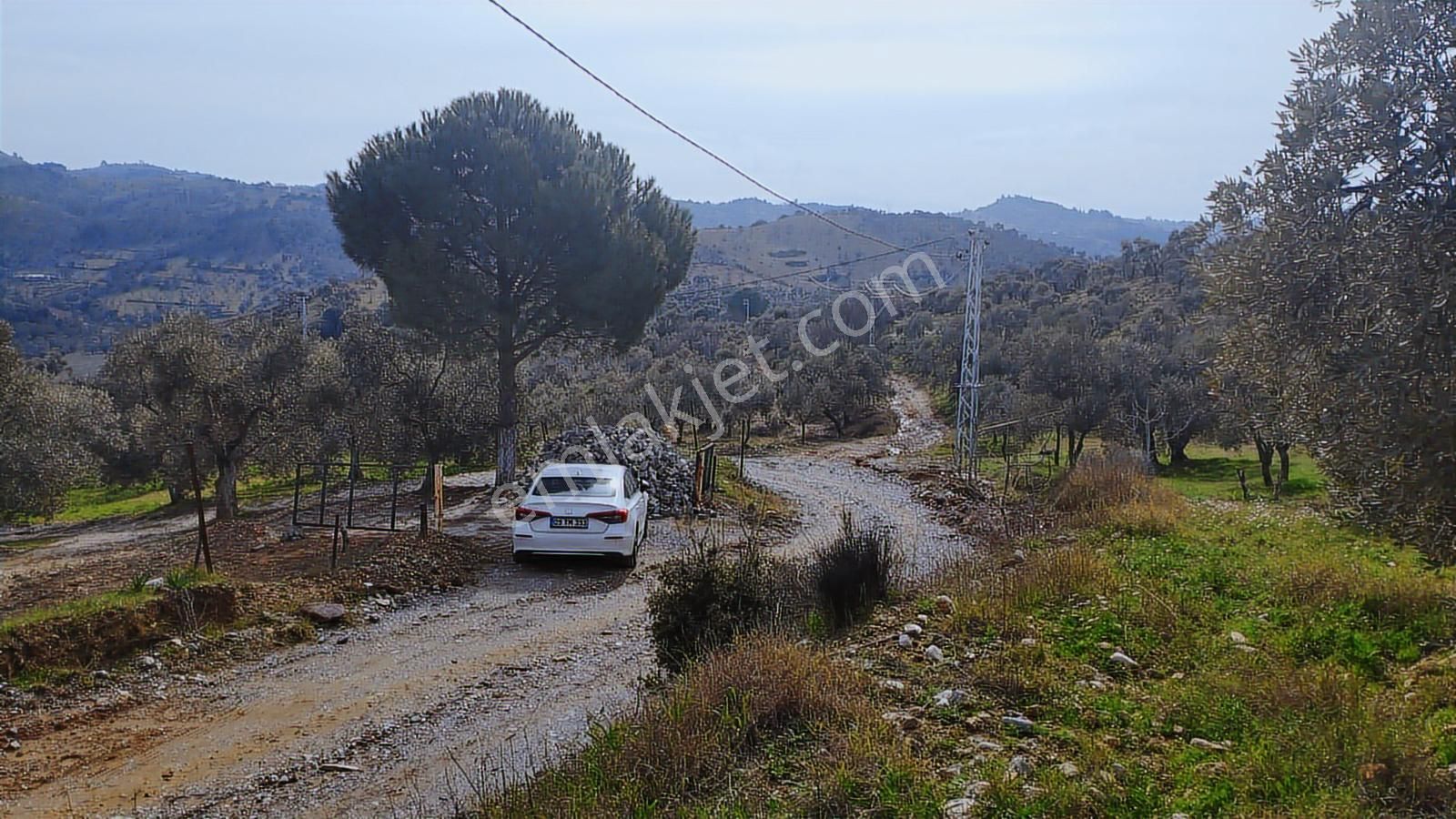 Aydın Germencik Dağyeni' Satılık 24.702 M2 İncir Bahçesi - Görsel 34