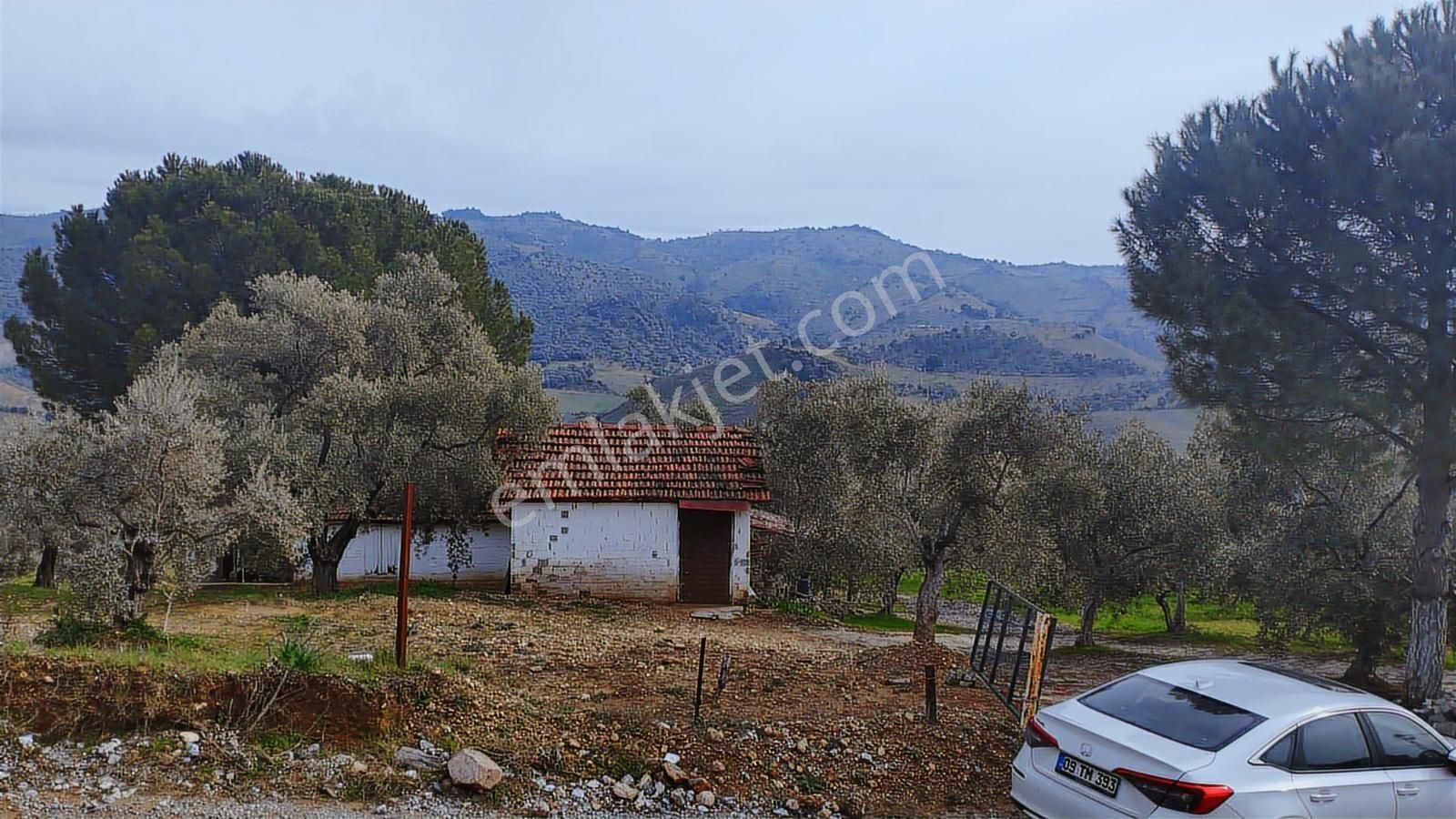 Aydın Germencik Dağyeni' Satılık 24.702 M2 İncir Bahçesi - Görsel 30