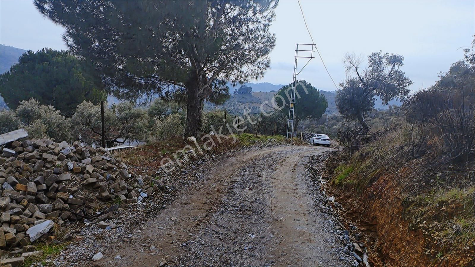 Aydın Germencik Dağyeni' Satılık 24.702 M2 İncir Bahçesi - Görsel 4