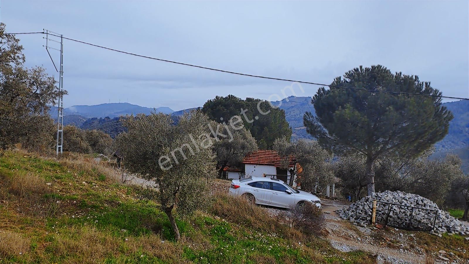 Aydın Germencik Dağyeni' Satılık 24.702 M2 İncir Bahçesi - Görsel 26