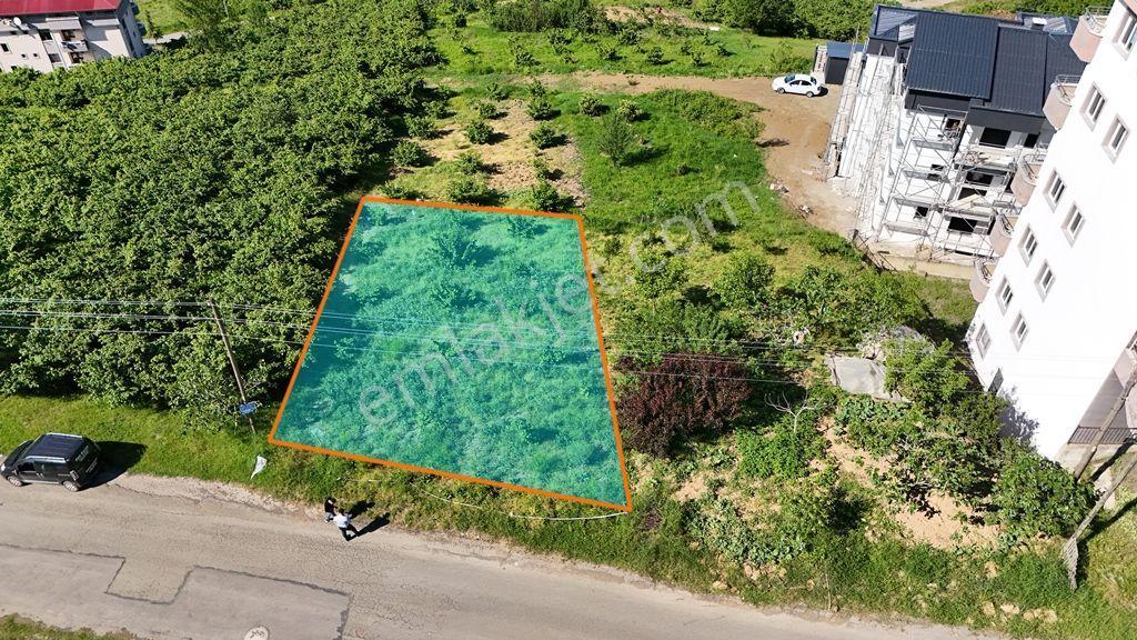 Trabzon Akçaabat Söğütlü'de Satılık Villalık Arsa