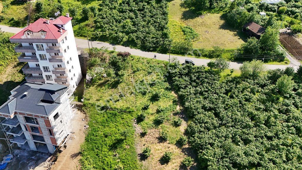 Trabzon Akçaabat Söğütlü'de Satılık Villalık Arsa - Görsel 14