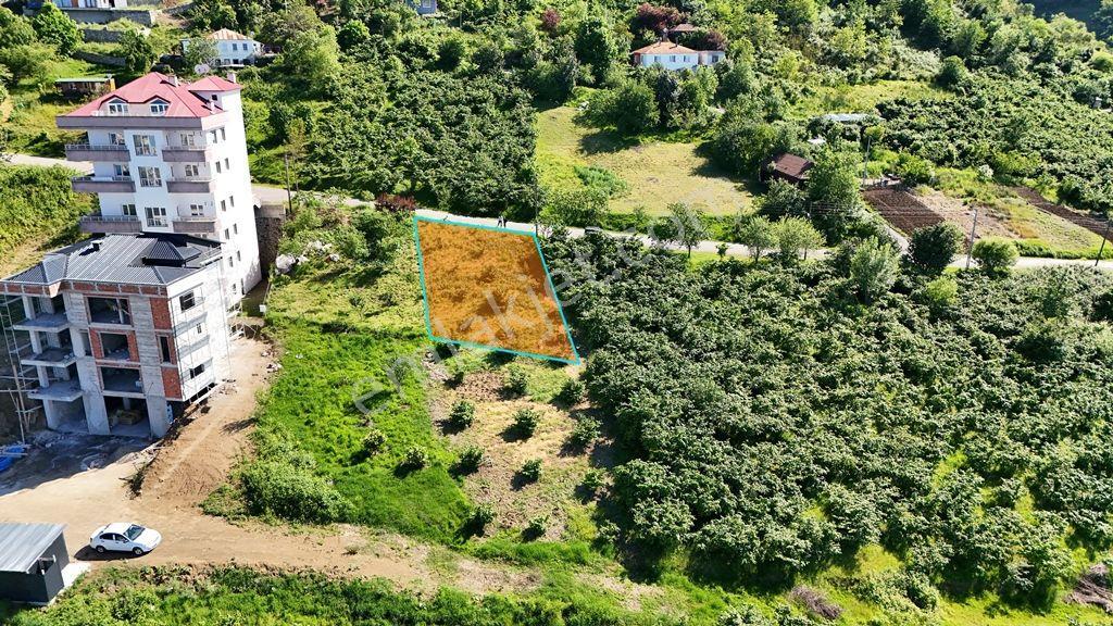Trabzon Akçaabat Söğütlü'de Satılık Villalık Arsa - Görsel 4