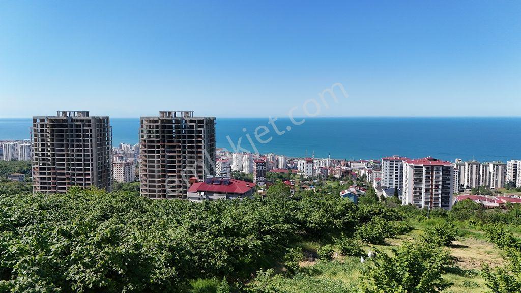 Trabzon Akçaabat Söğütlü'de Satılık Villalık Arsa - Görsel 10