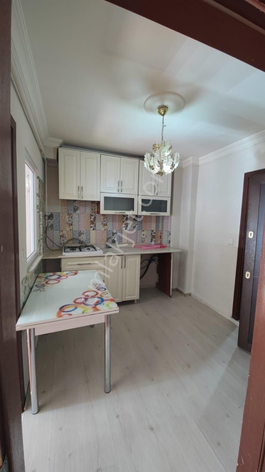 Colisiuma Yakin 1+1 - Görsel 9