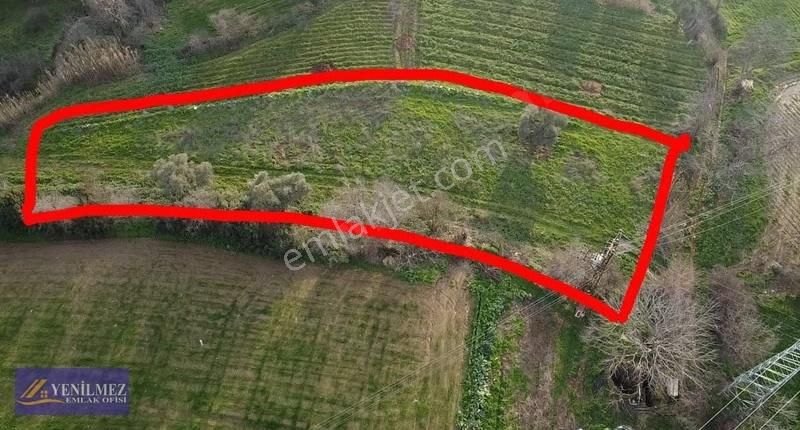 Resmi Yol Cepheli Satılık Bahçe