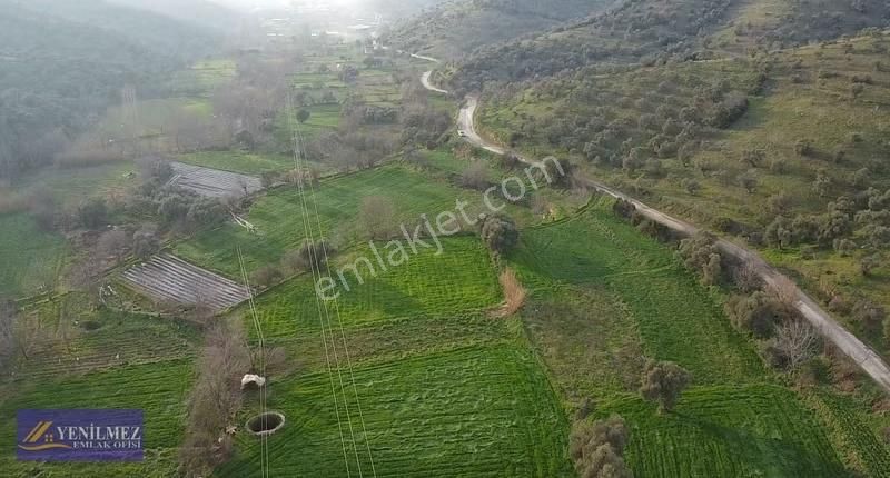 Resmi Yol Cepheli Satılık Bahçe - Görsel 2