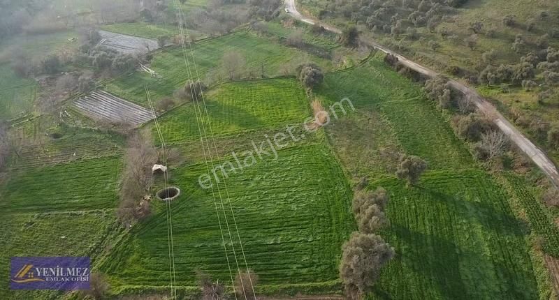 Resmi Yol Cepheli Satılık Bahçe - Görsel 3