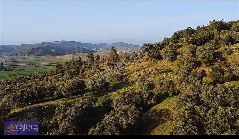 Tire Büyük Kale Mh - Görsel 22