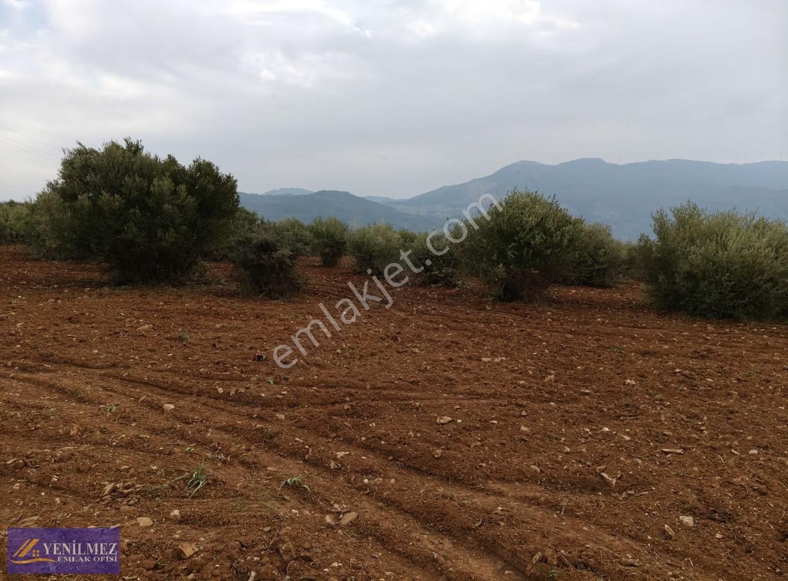 Tire Kurşak Mh - Görsel 21