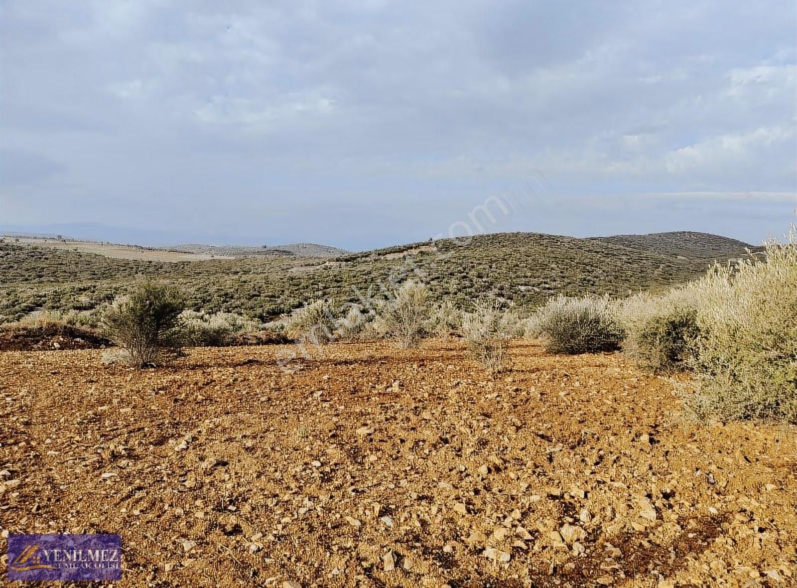 Tire Kurşak Mh - Görsel 22