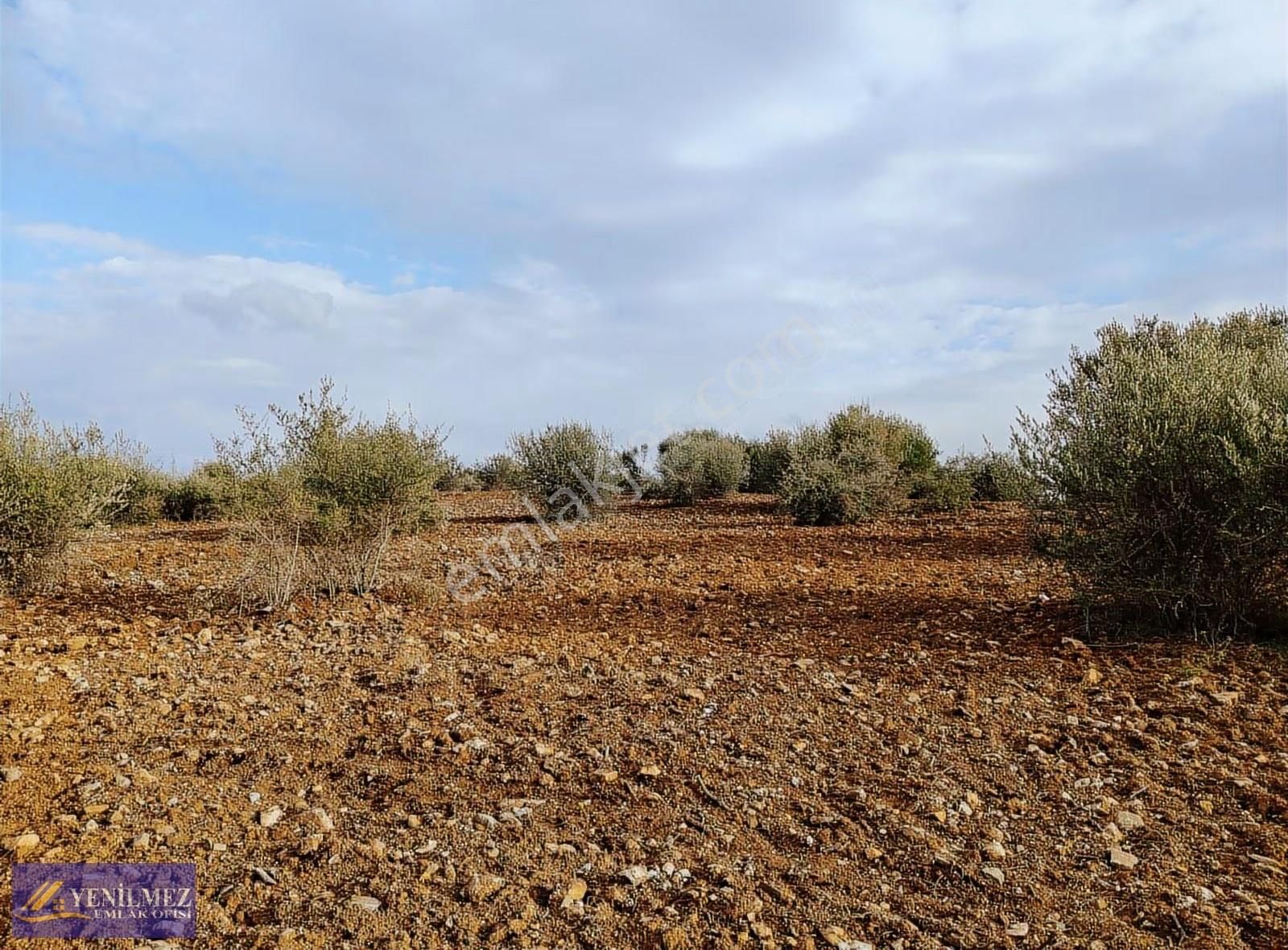 Tire Kurşak Mh - Görsel 8