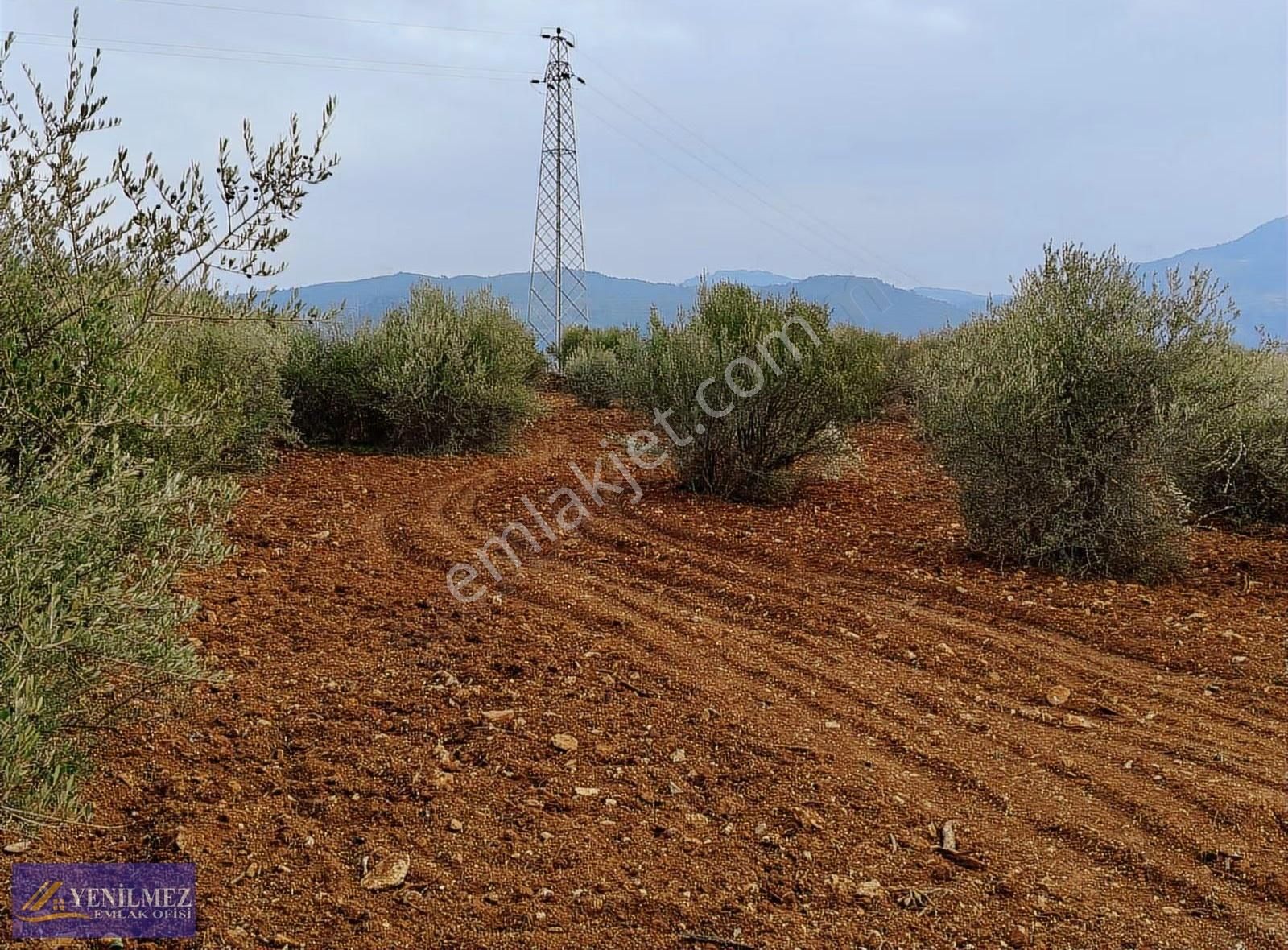 Tire Kurşak Mh - Görsel 11