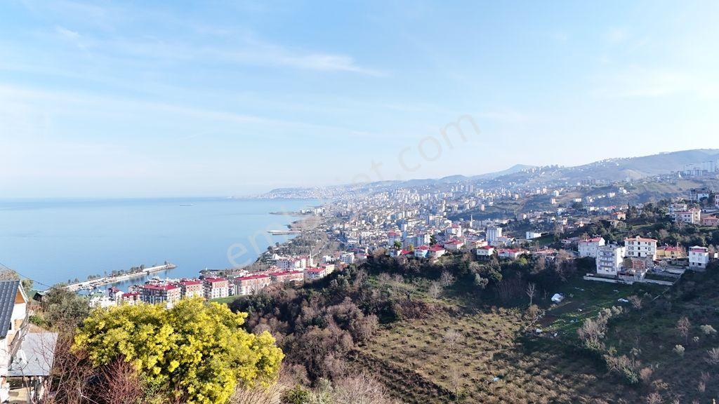 Trabzon Akçaabat Yeni Mahallede Satılık Arsa