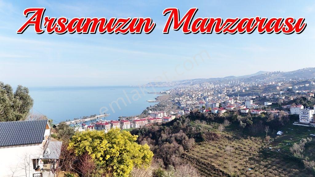 Trabzon Akçaabat Yeni Mahallede Satılık Arsa - Görsel 11