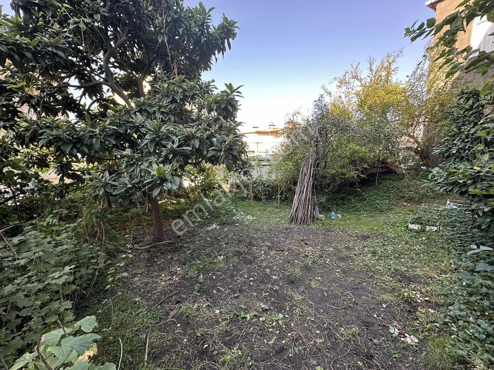 Vıp Real Estate Gazipaşa Mah. Satılık 420 M2 Üzerinde 2 Bina - Görsel 3
