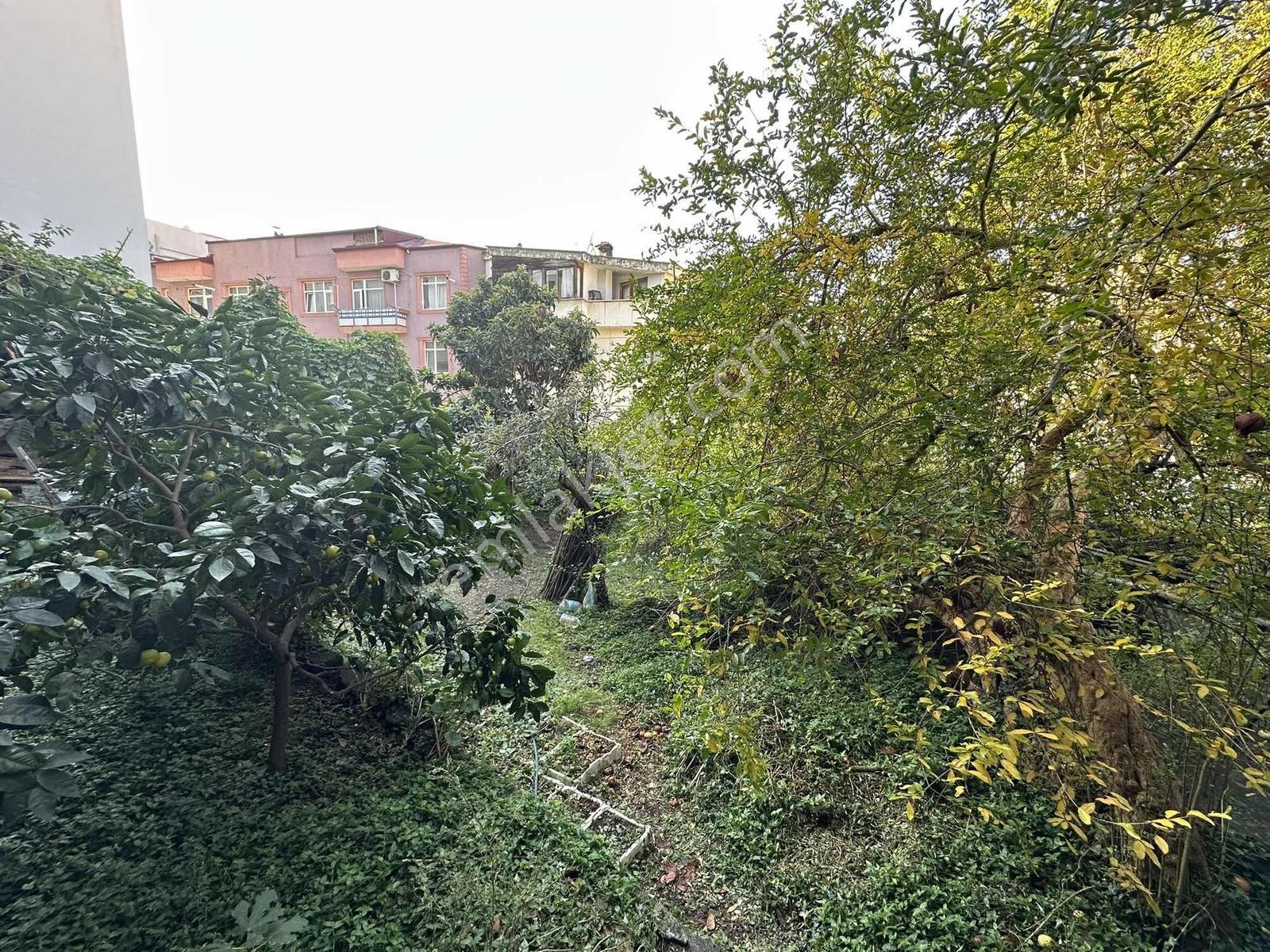 Vıp Real Estate Gazipaşa Mah. Satılık 420 M2 Üzerinde 2 Bina - Görsel 10