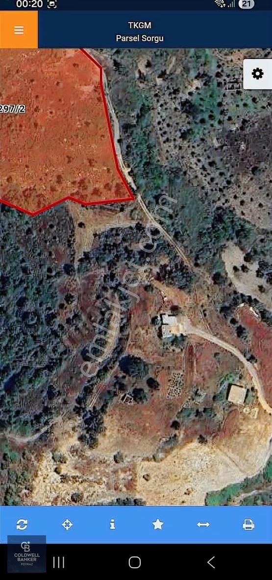Muğla Zeytinköy Satılık 13.920 M2 Tek Katlı Kargir Ev Ve Tarla - Görsel 3